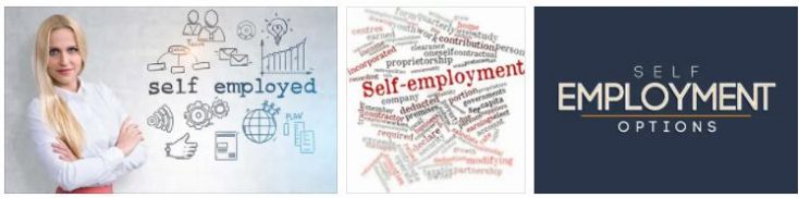 Bogus Self-employment 4